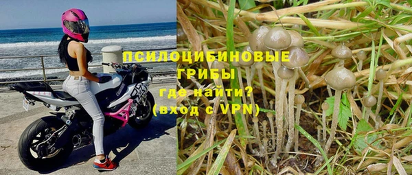 прущая мука Магас