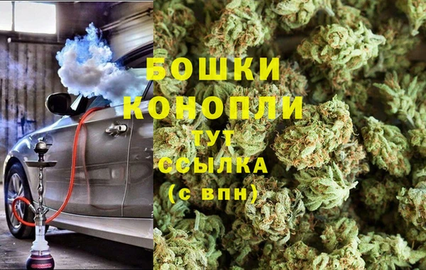 ГАЛЛЮЦИНОГЕННЫЕ ГРИБЫ Медногорск