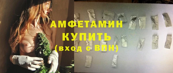 гидра Гусь-Хрустальный